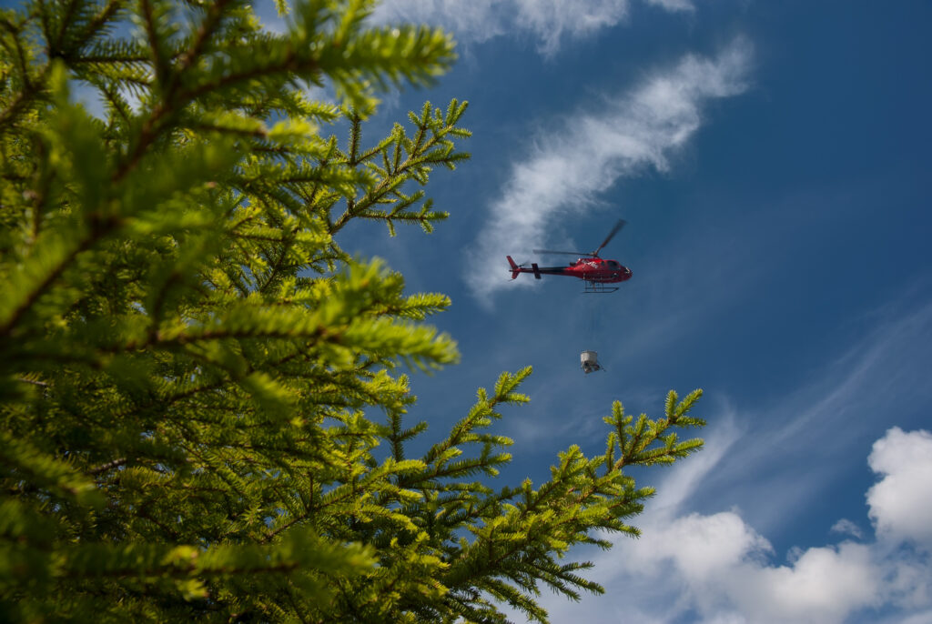 Helikoptergödsling av skog
